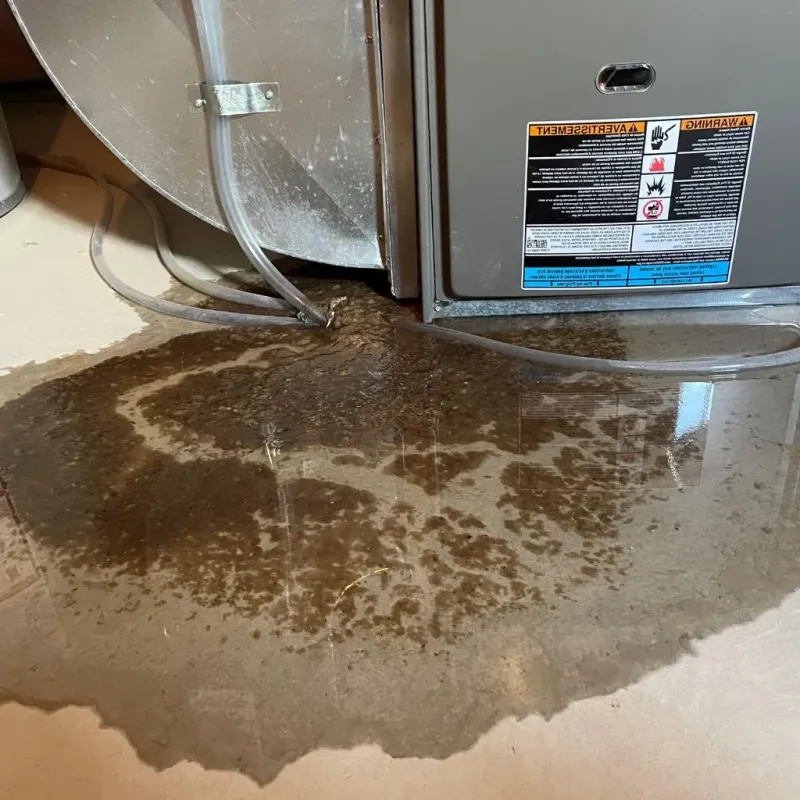 Pipe Burst and Leak Restoration in Friars Point, MS