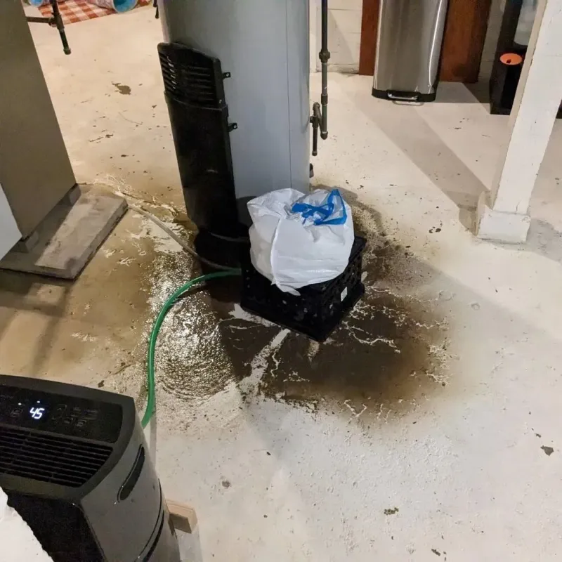 Sewage Backup Cleanup Service in Friars Point, MS